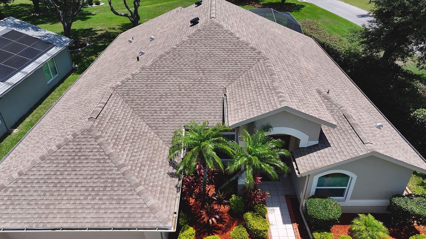 A real asphalt-shingle roof, restored in a single day with the plant-based Shingle Hero formula.