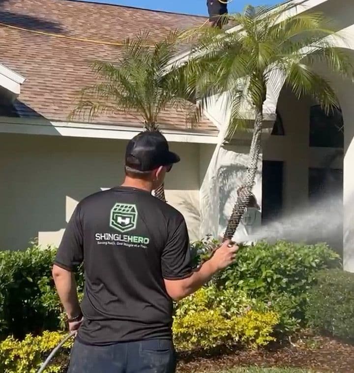 Plant Hero protecting landscaping during roof treatment